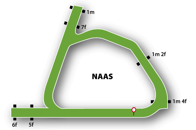 Naas course map