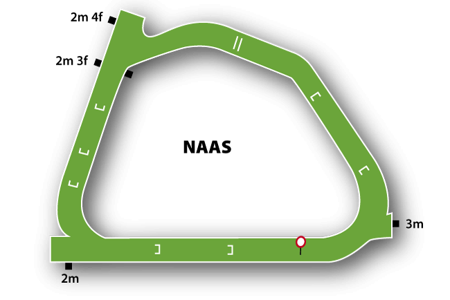 Naas course map