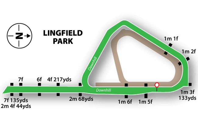 Lingfield Park course map